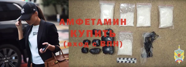 сатива Медногорск