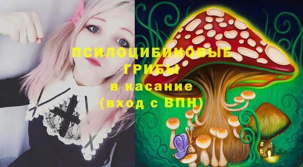 сатива Медногорск
