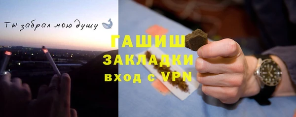 сатива Медногорск