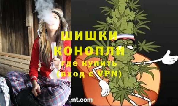 сатива Медногорск