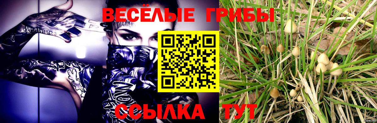 Псилоцибиновые грибы прущие грибы  Вход с VPN  Аргун 