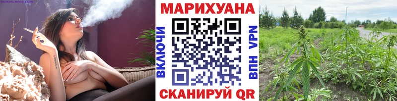 где найти наркотики  Аргун  Бошки Шишки OG Kush 