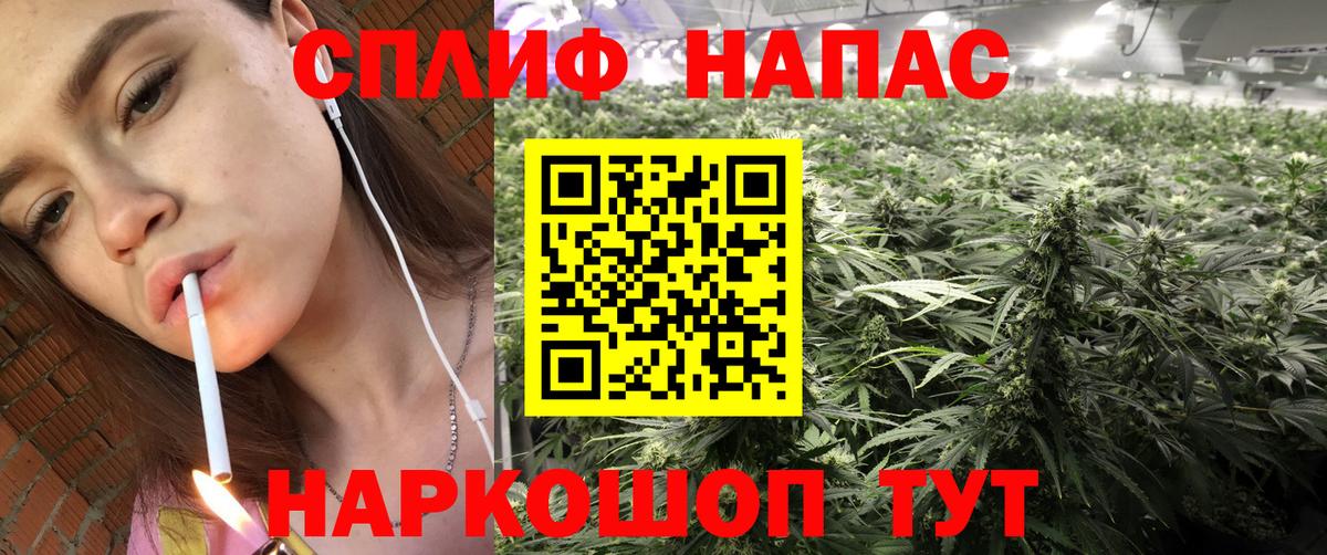 Гашиш Аргун